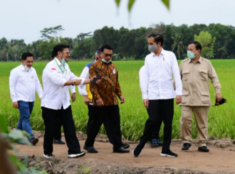 Presiden Jokowi didampingi Mentan Syl dan Menhan Prabowo saat mengunjungi Kalteng, Kamis (9/7)