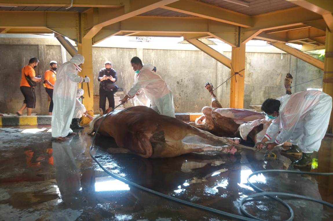 Petugas penyemblih hewan kurban di Masjid Nursiah Daud Paloh mengenakan APD