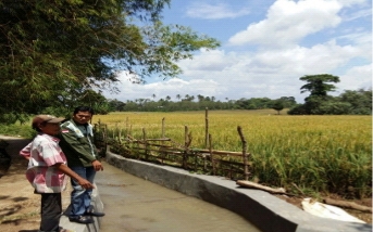 Konsultan regional dan konsultan on granting diharapkan bisa ikut meningkatkan nilai pertanian beririgasi secara berkelanjutan.