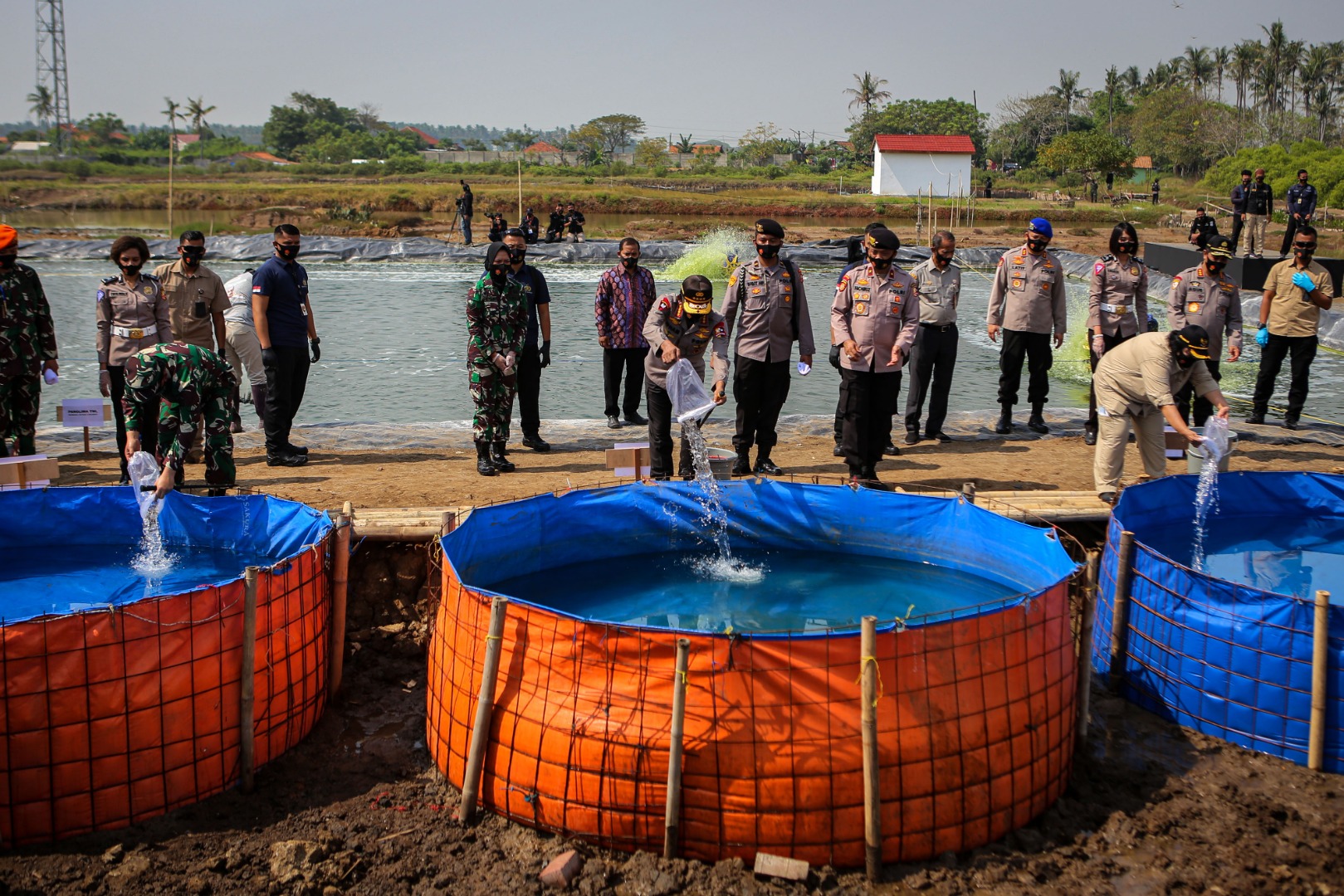 Panglima TNI, Kapolri dan Menteri LHK menebar benih ikan lele di Mauk, Kabupaten Tangerang, Banten, Kamis (9/7/2020). 