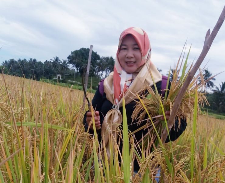 Penyuluh Yossi Arianti di lahan 15 hektar dari Poktan Pinggir Payau di Desa Tanjung Besar, Kecamatan Manna, Bengkulu Selatan.