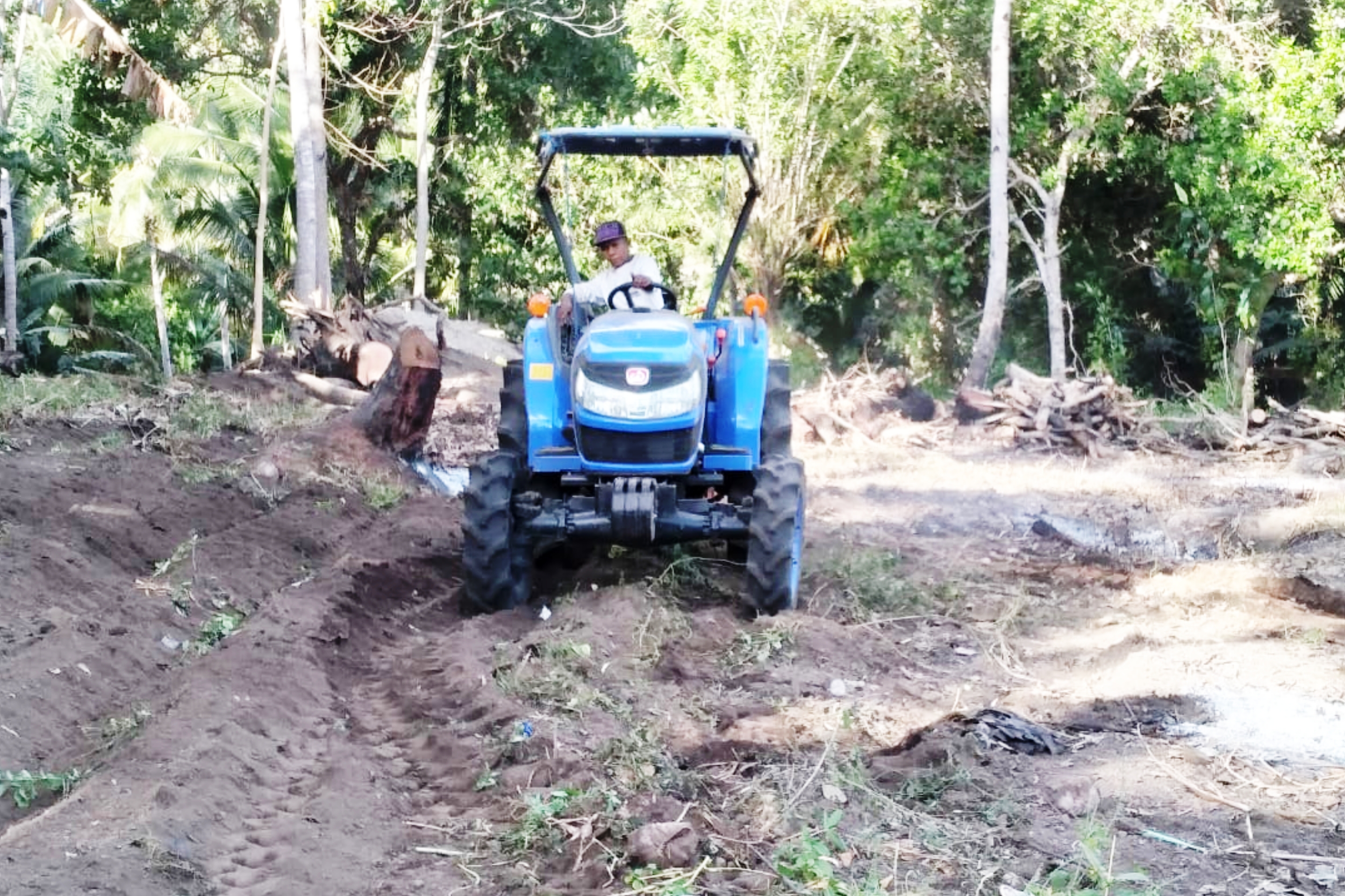 Alat berat taktor sedang menggarap lahan baru di Desa Tilang, Kabupaten Sikka, Nusa Tenggara Timur. 