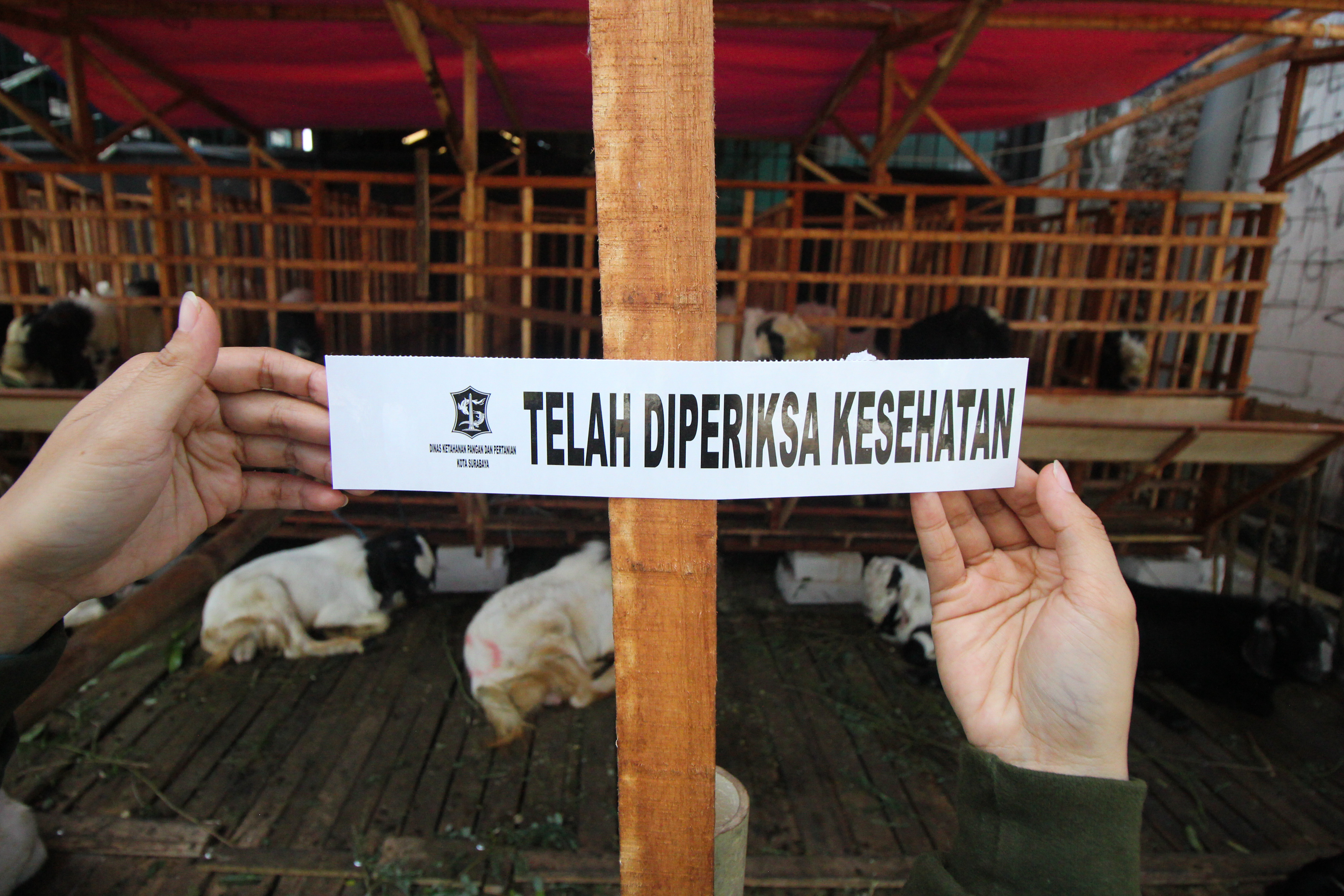Lokasi penjualan hewan kurban yang telah diperiksa kesehatan dan kelaikan hewan kurbannya diberi label.