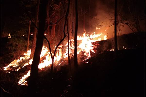 Kebakaran lahan atau hutan