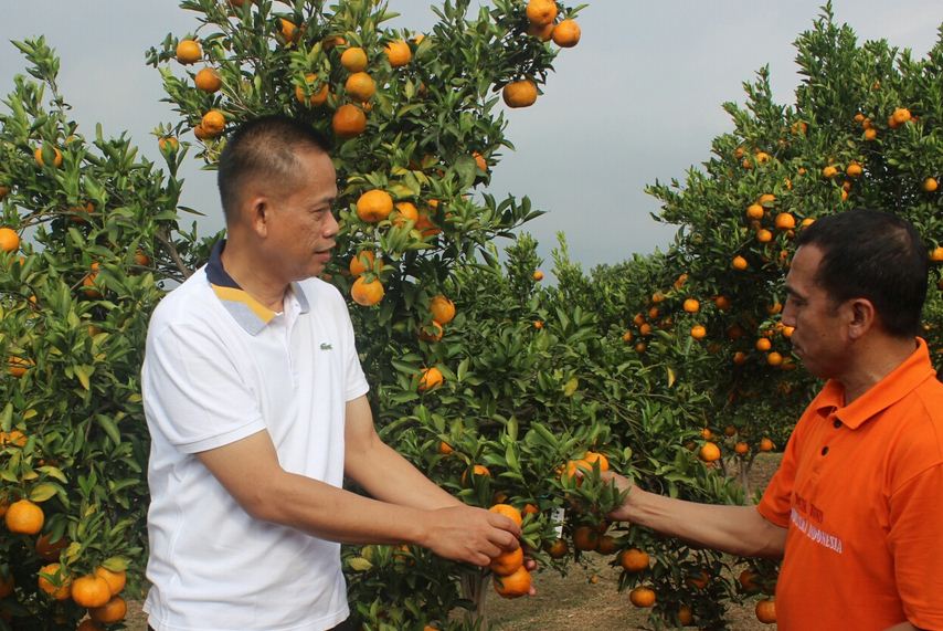 Kepala Badan Penelitian dan Pengembangan Kementan Fadjry Djufry (kiri). 