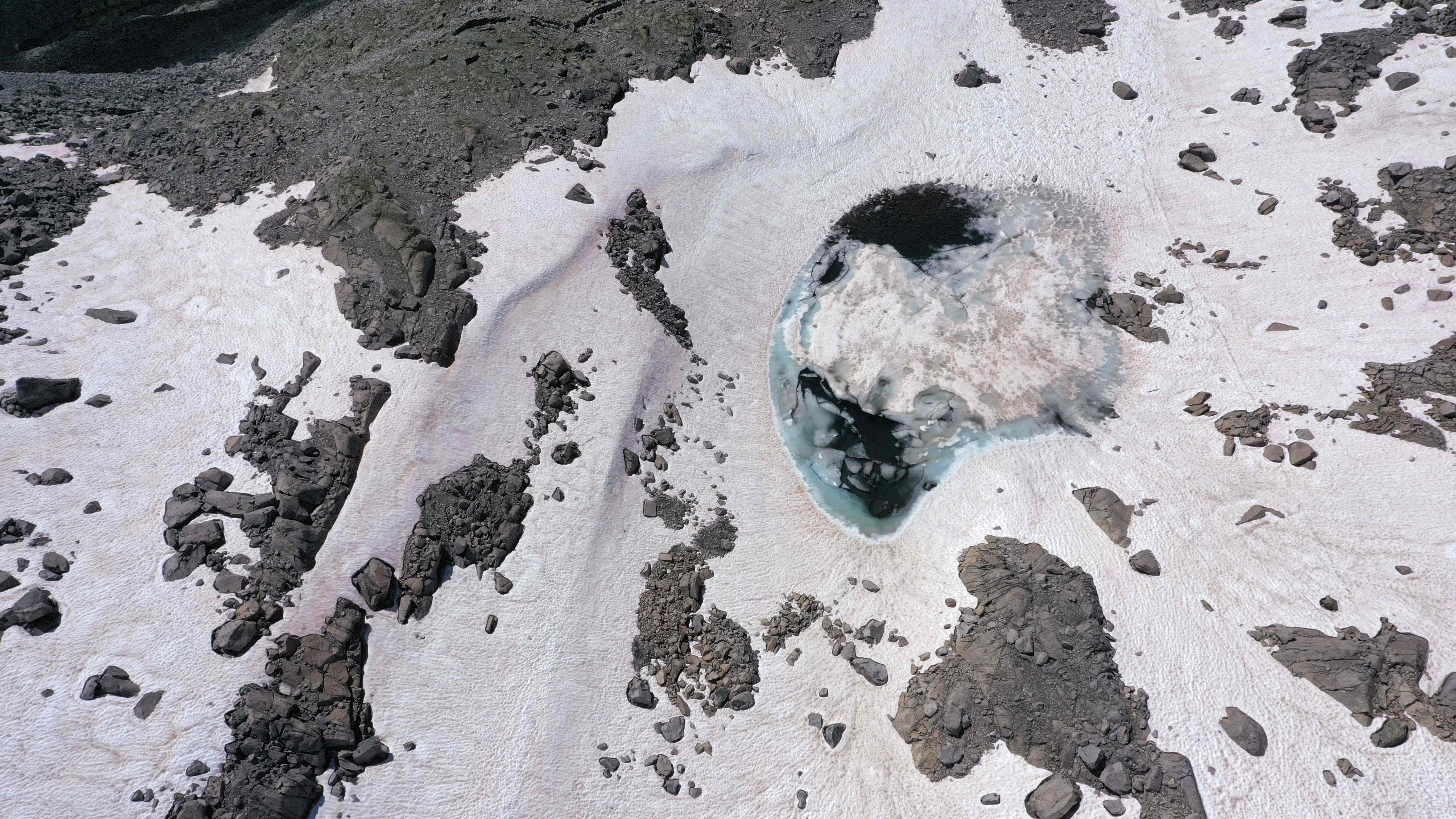 Salju Pegunungan Alpen yang berwarna merah muda akibat keberadaan alga. 