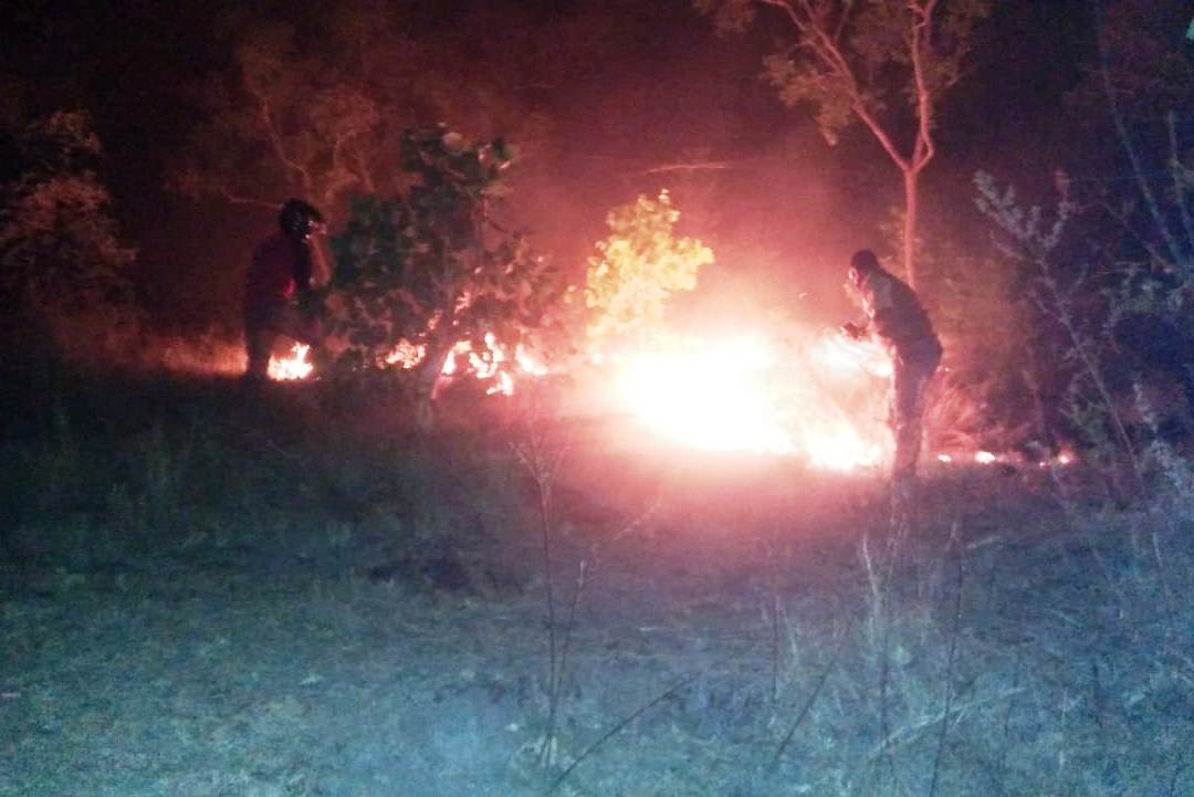 Kebakaran Hutan Dan Lahan di Lembata Terpantau di Lima Titik.