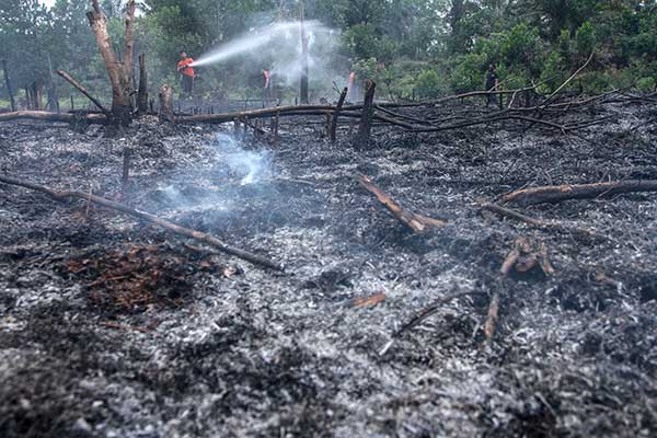 Petugas sedang berusaha memadamkan api yang membakar sebuah lahan