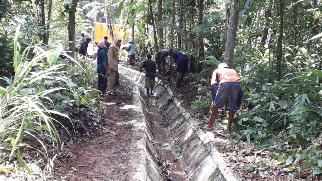 Kelompok Tani (Poktan) Kertosari sudah menerapkan CSA (Climate Smart Agriculture) SIMURP dengan teknologi Intermiten.