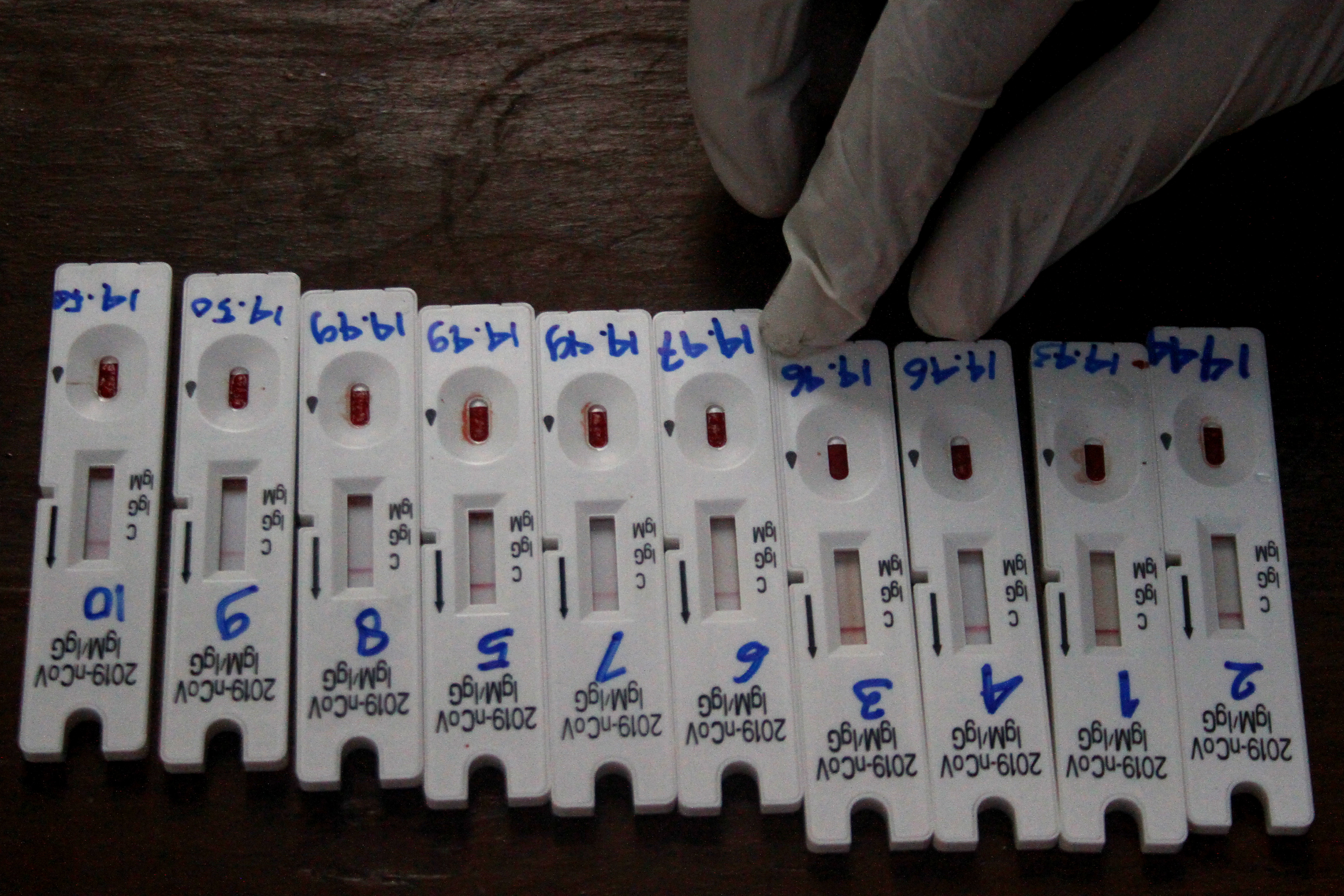 Petugas medis menata hasil tes diagnostik cepat atau rapid test di Pondok Pesantren Al Hikam, Malang, Jawa Timur