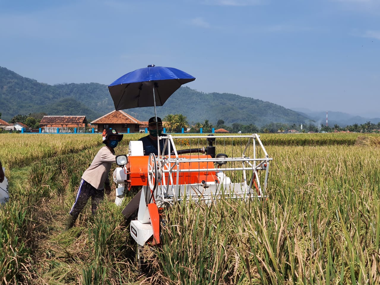 SIMURP mengajarkan banyak hal kepada petani. 
