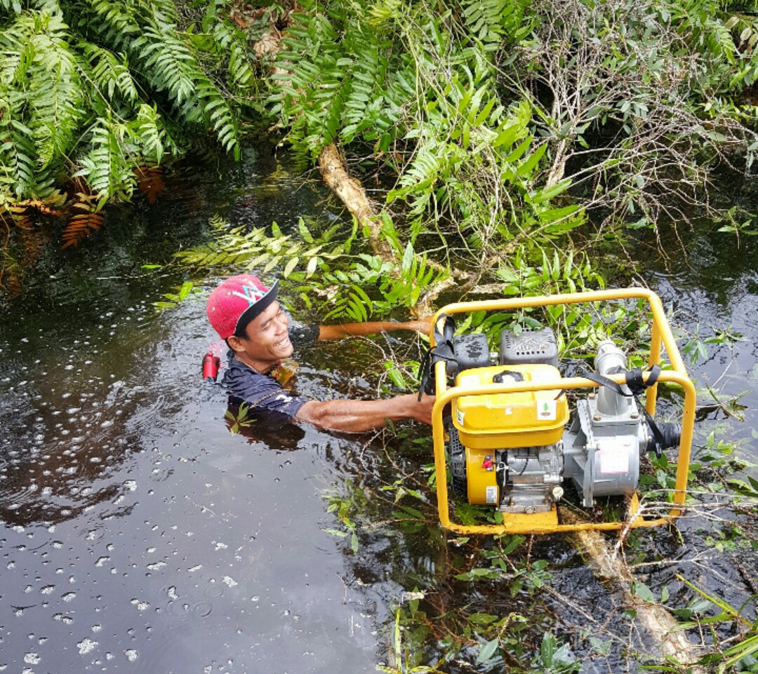 Petugas melakukan pembahasan lahan gambut di wilayah Kalimantan Selatan sejak awal Juli 2020 untuk mencegah karhutla.