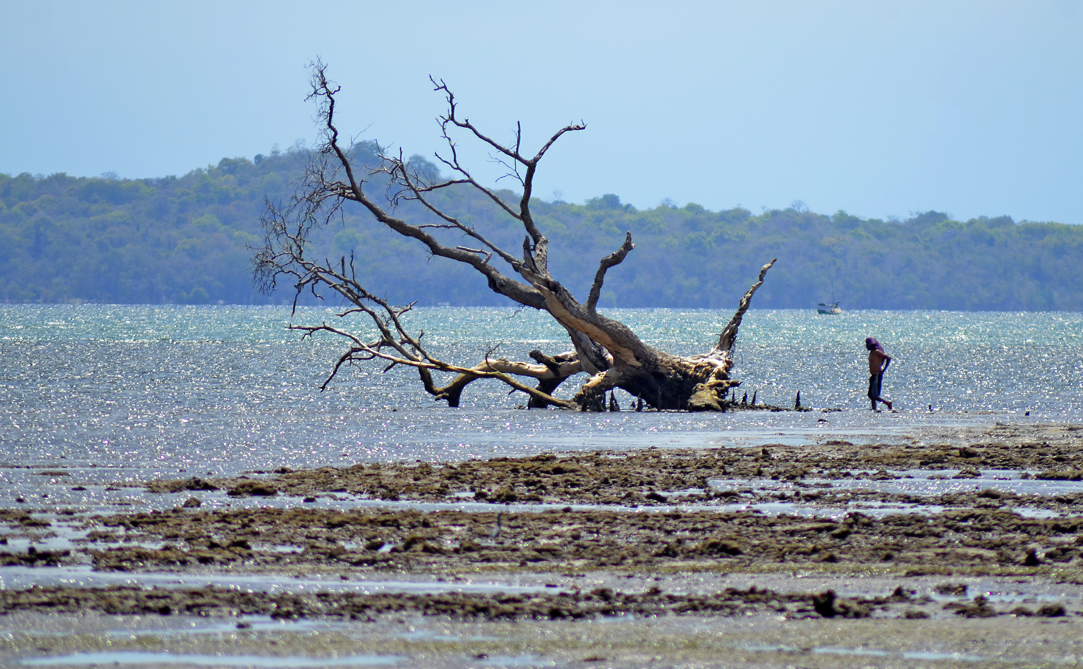 Kawasan Konservasi Taman Buru dan Taman Wisata Alam Laut Pulau Moyo, Kabupaten Sumbawa