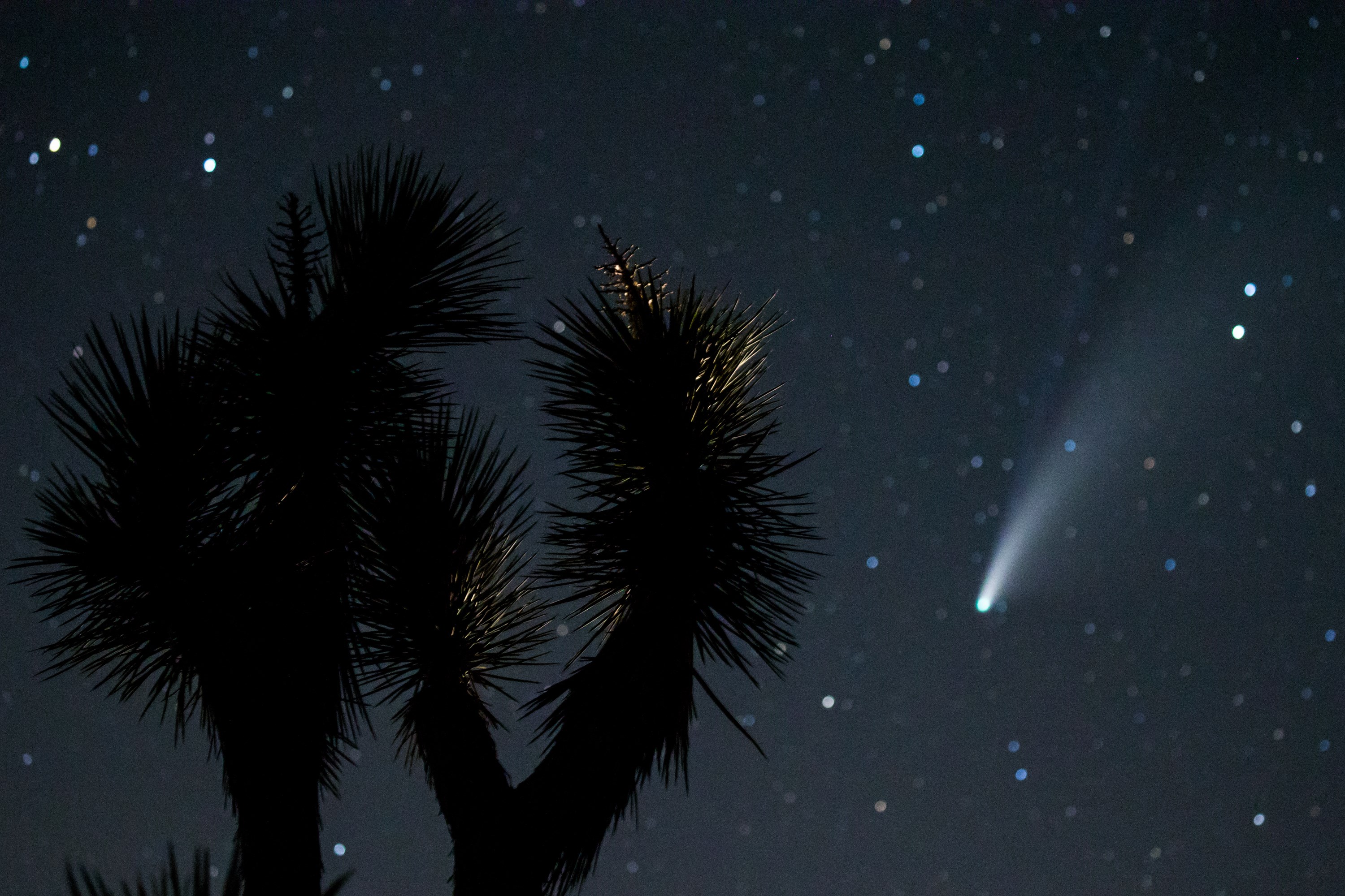 Komet Neowise terlihat di Joshua Tree California, AS, Juli 2020