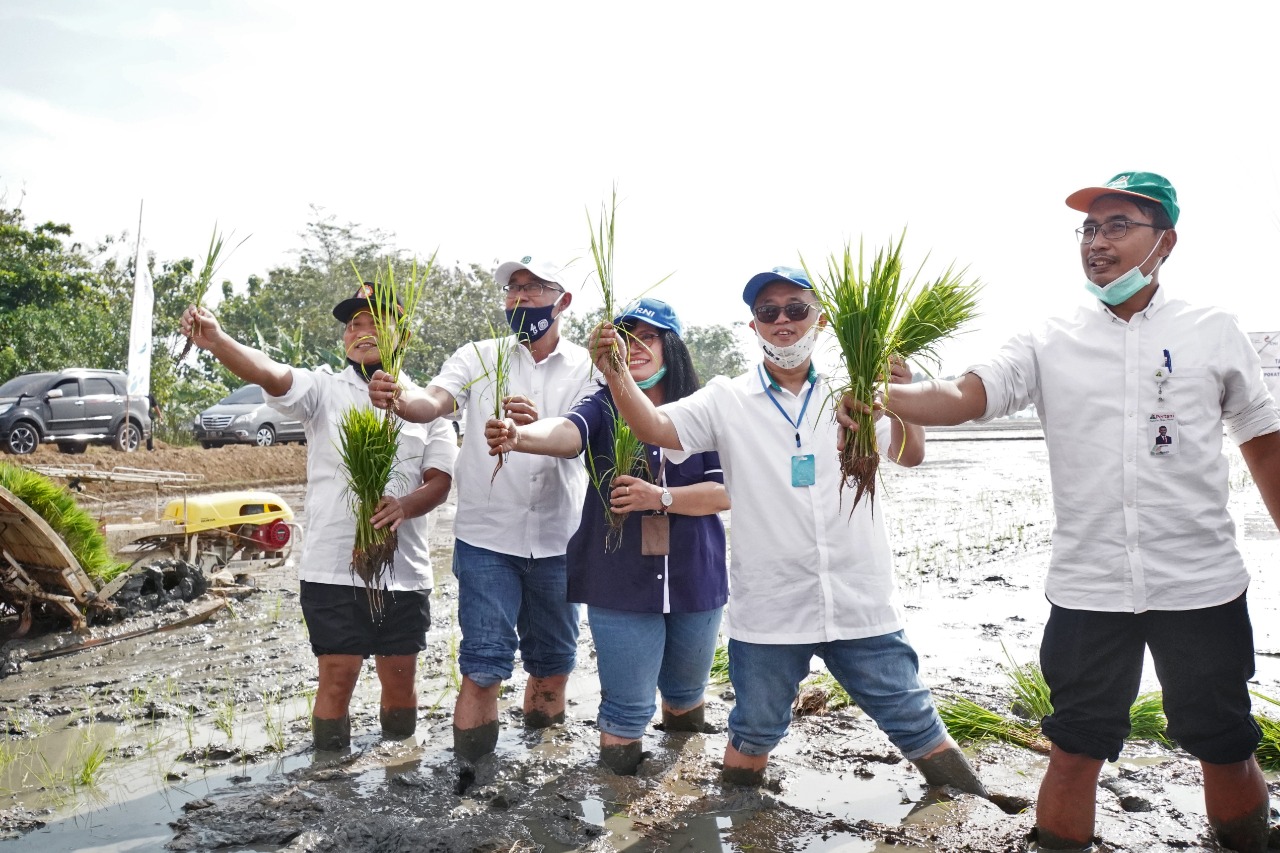Pilot Project Corporate Farming di Sukamandi.