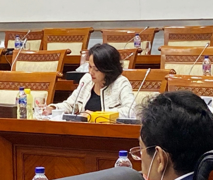 Anggota Komisi I DPR Fraksi Glokar Christina Aryani