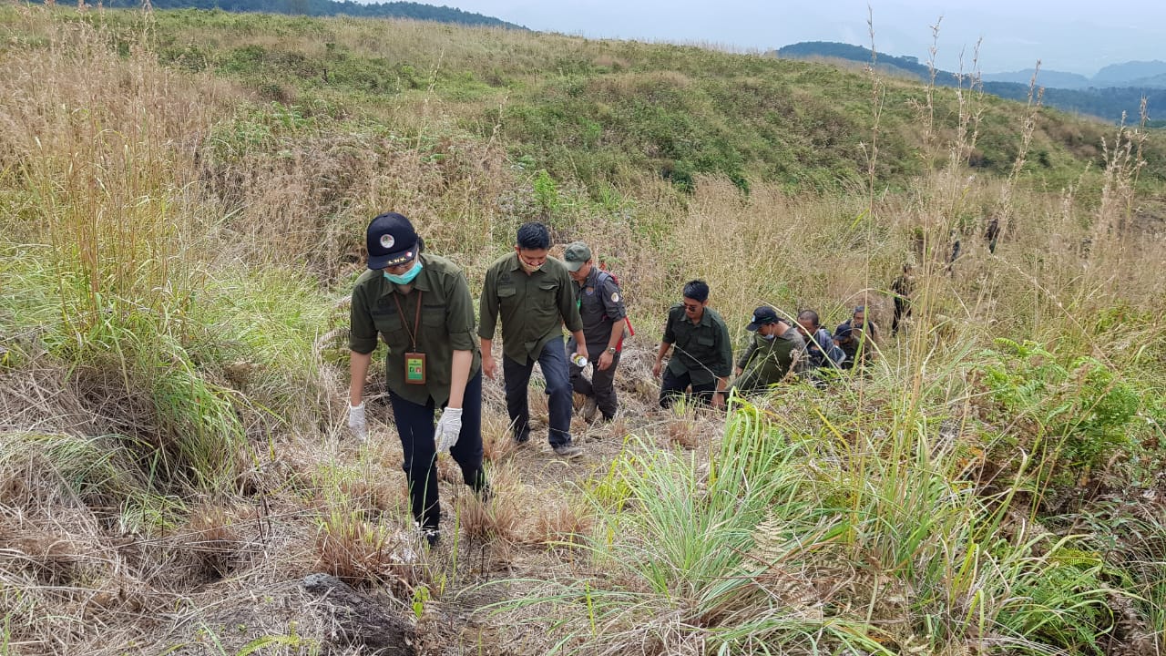 Tim KLHK melepasliarkan trenggiling dan 15 ekor Ular Sanca Batik di Seksi Pengelolaan Taman Nasional Wilayah II Majalengka, TNGC.