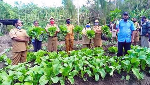 Mama-mama Papua membentuk kelompok tani mengolah lahan terbengkalai menjadi produktif.