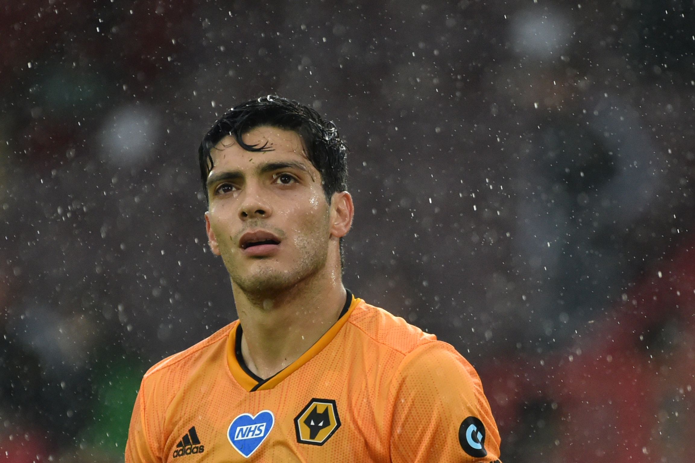 Striker Wolverhampton Raul Jimenez 