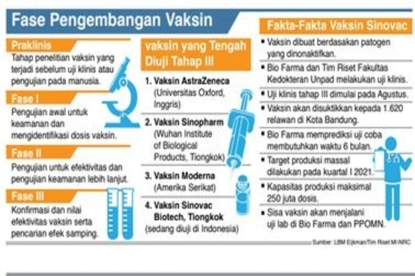 Fase Pengembangan Vaksin