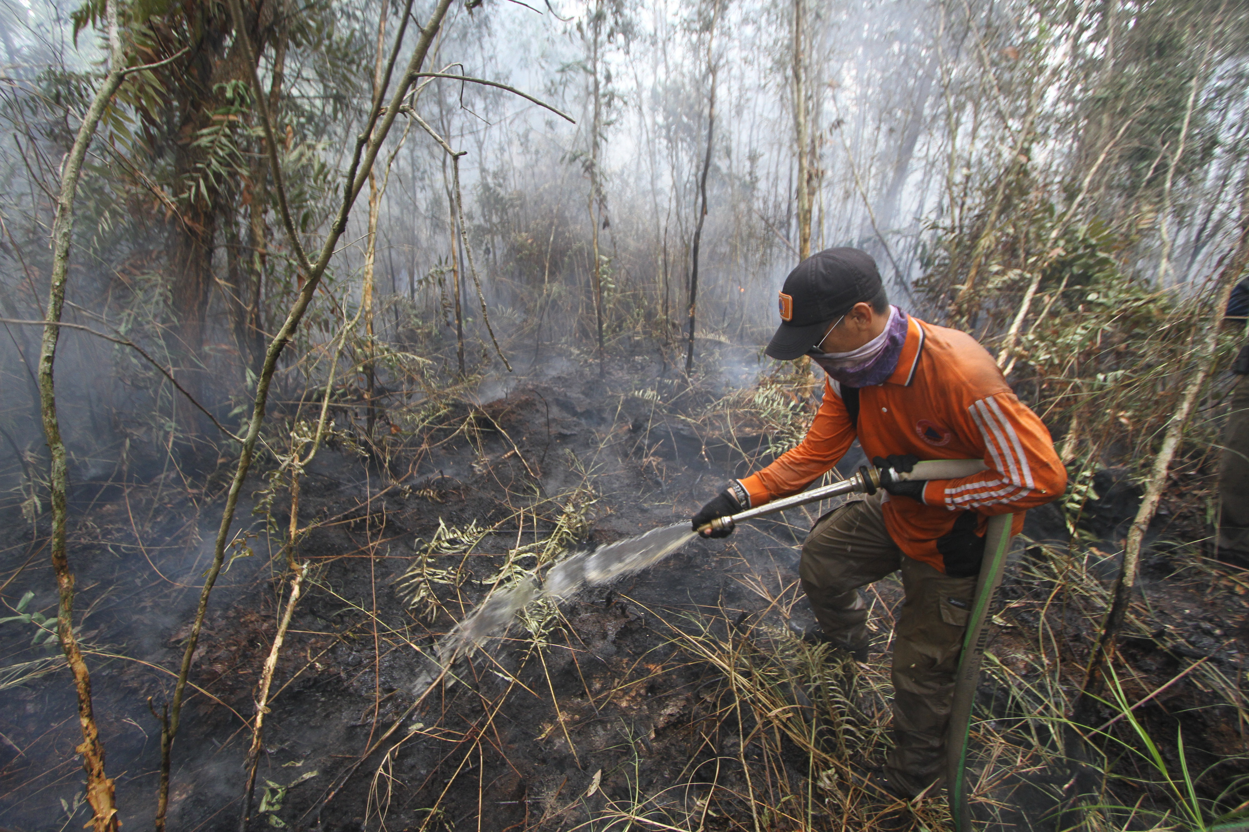 Gambut Kering Kebakaran di Depan Mata