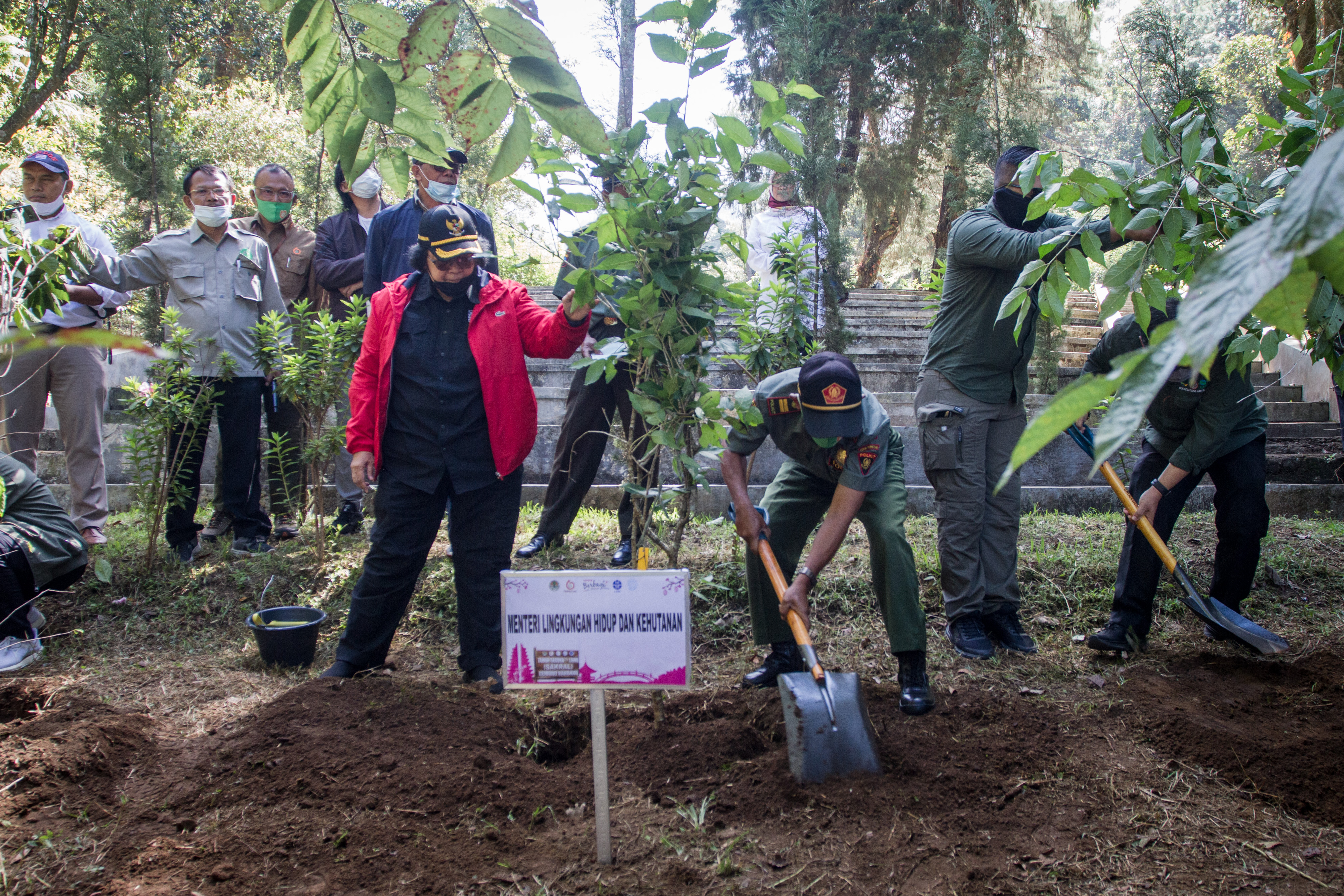 Menteri Lingkungan Hidup dan Kehutanan Siti Nurbaya (jaket merah) menanam pohon saat kunjungan dan rehabilitasi hutan di Taman Sakura Lawu.