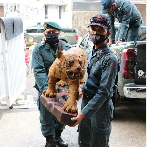 Temuan ratusan bagian-bagian satwa liar yang dilindungi di sebuah homestay di Bandung, Jawa Barat. 