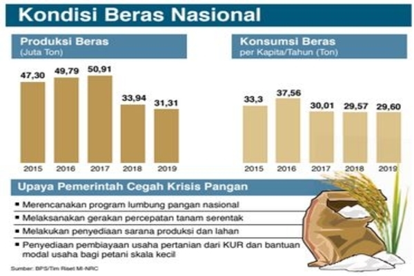 Kondisi Beras Nasional