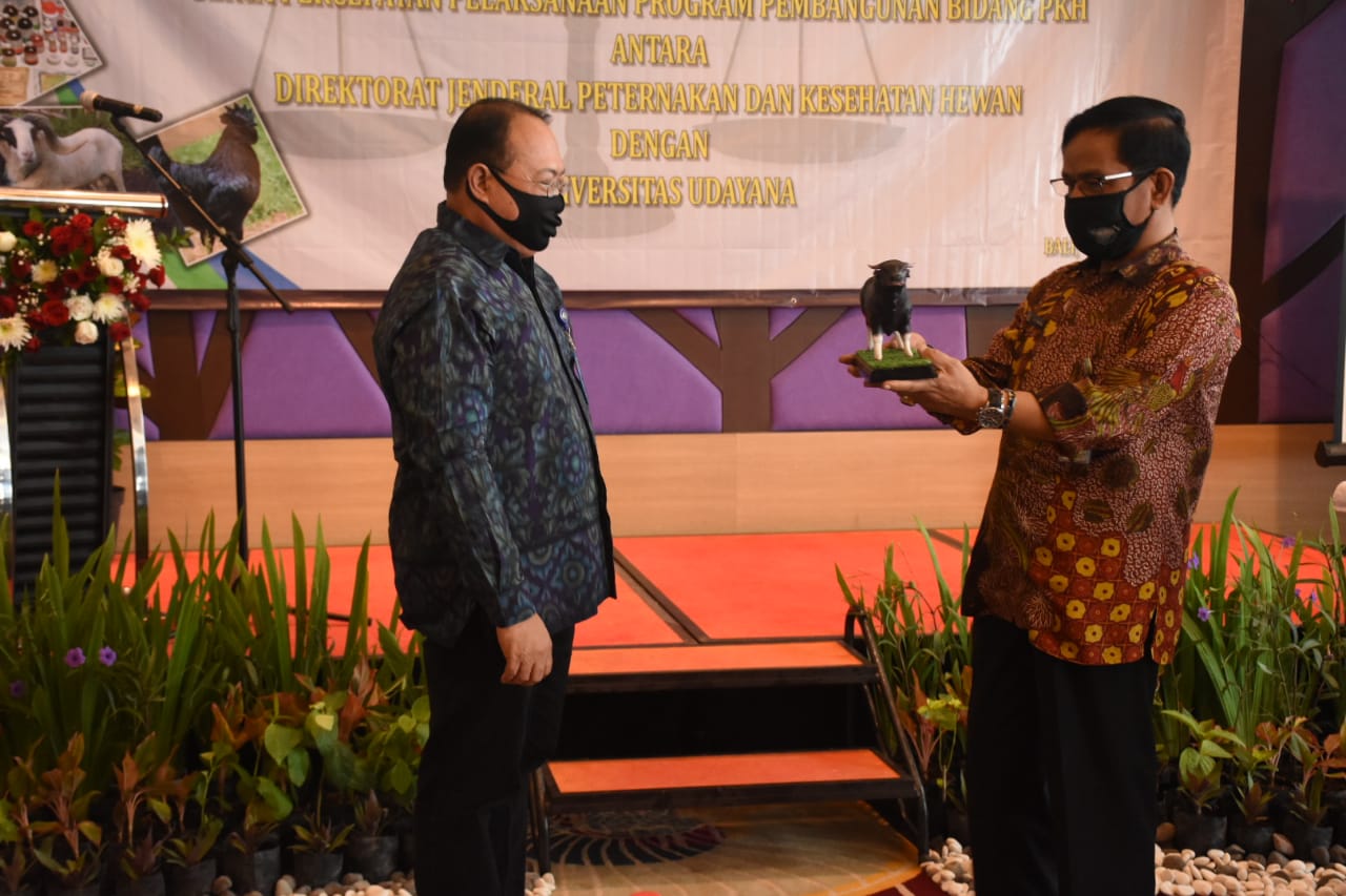 Dirjen PKH Kementan I Ketut Diarmita (kanan) memberikan cenderamata kepada Wakil Universitas Udayana Ida Bagus Wyasa Putra. 