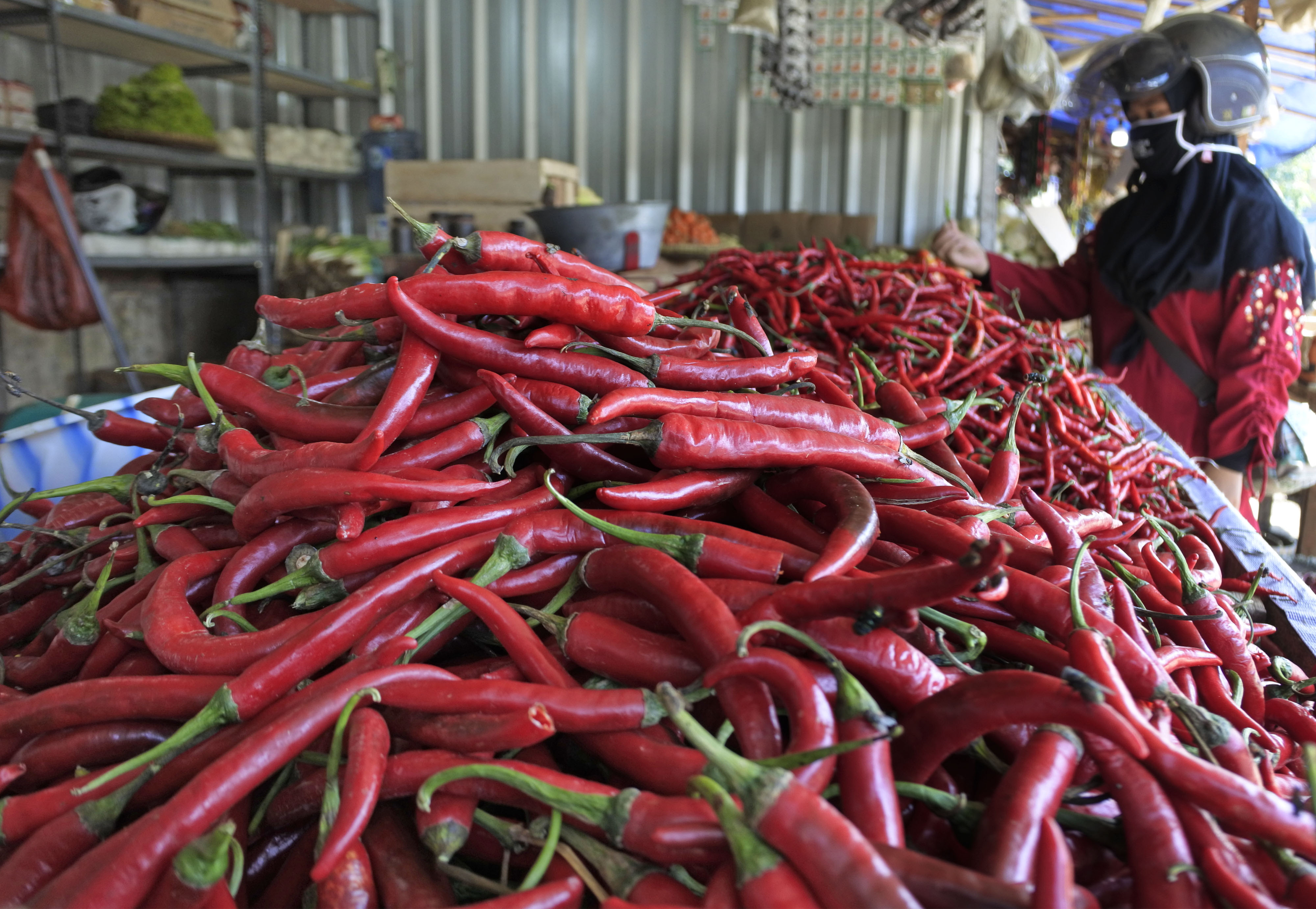 Pembeli memilih cabai merah di Pasar Induk Rau, Serang