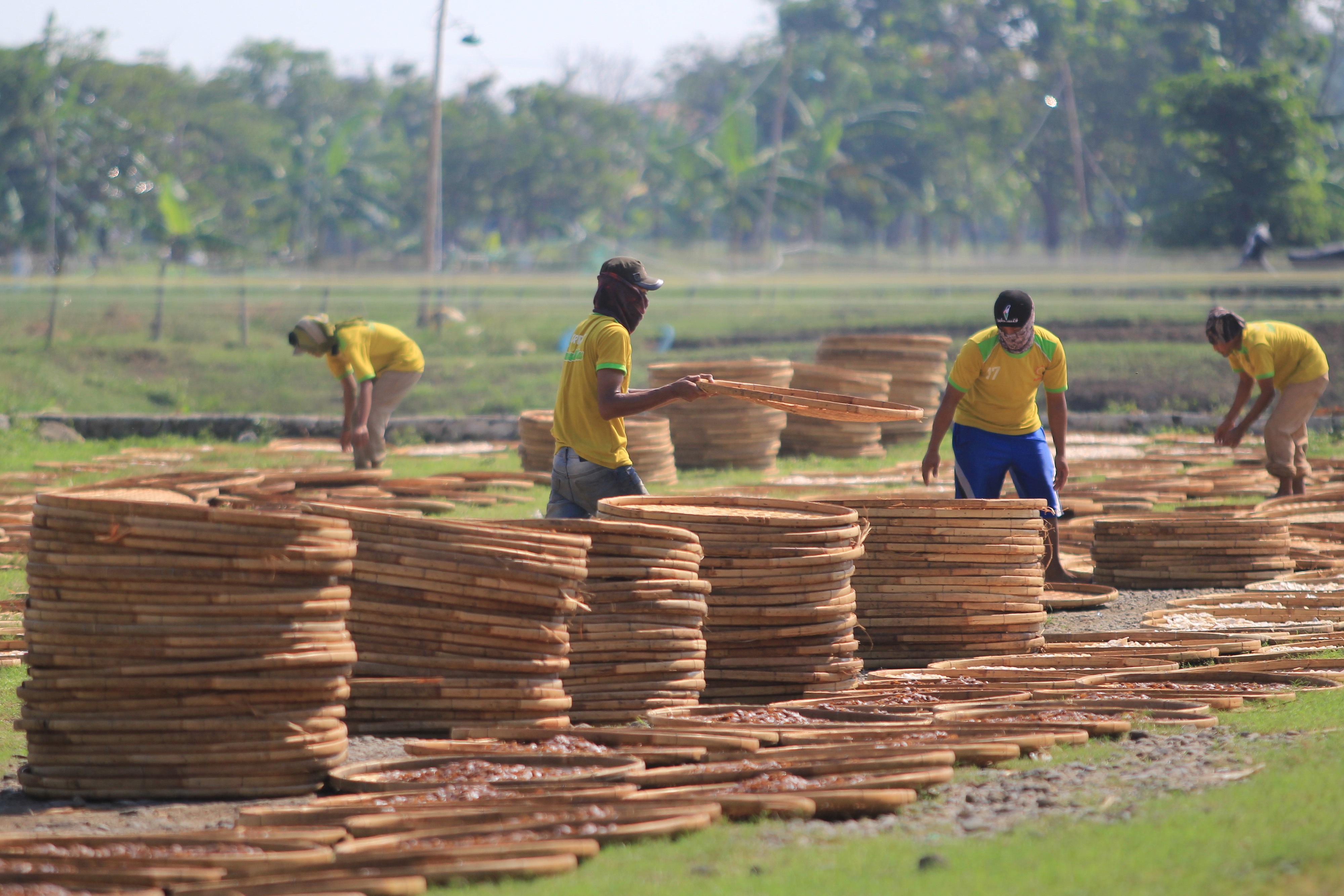 Pekerja menjemur kerupuk di sentra industri kerupuk desa Kenanga, Indramayu, Jawa Barat, Minggu (19/7).