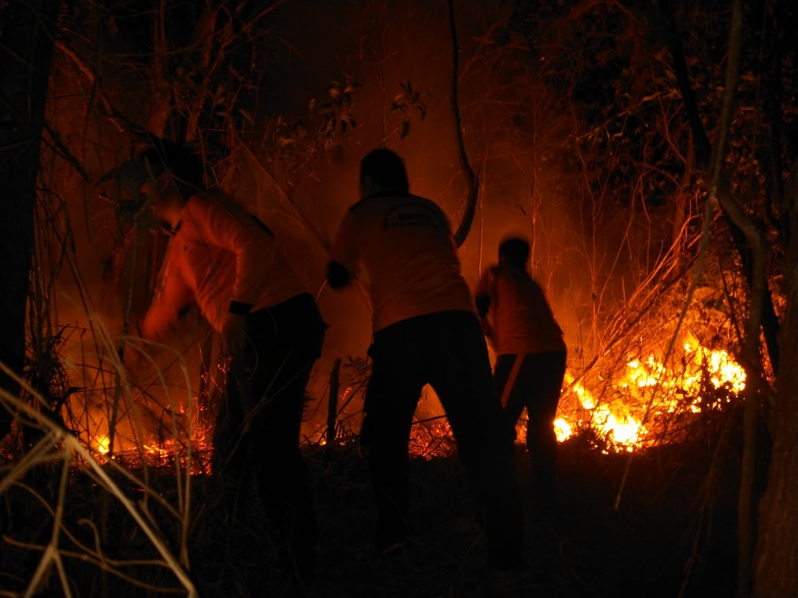 Tim satgas kekeringan Babel berupaya memadamkan api pada musim kemarau 2019.