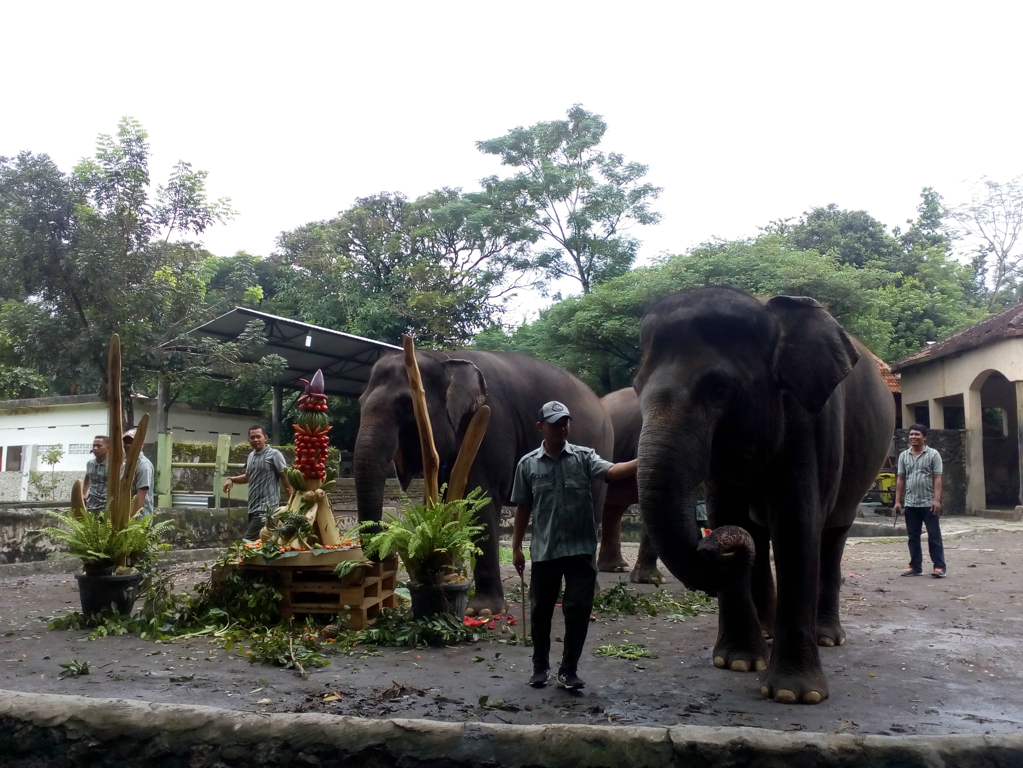Kebun Binatang Gembira Loka