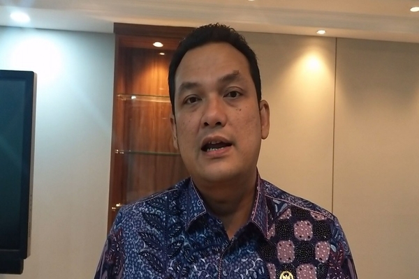 Ketua DPP Partai NasDem Bidang Hubungan Internasional Martin Manurung