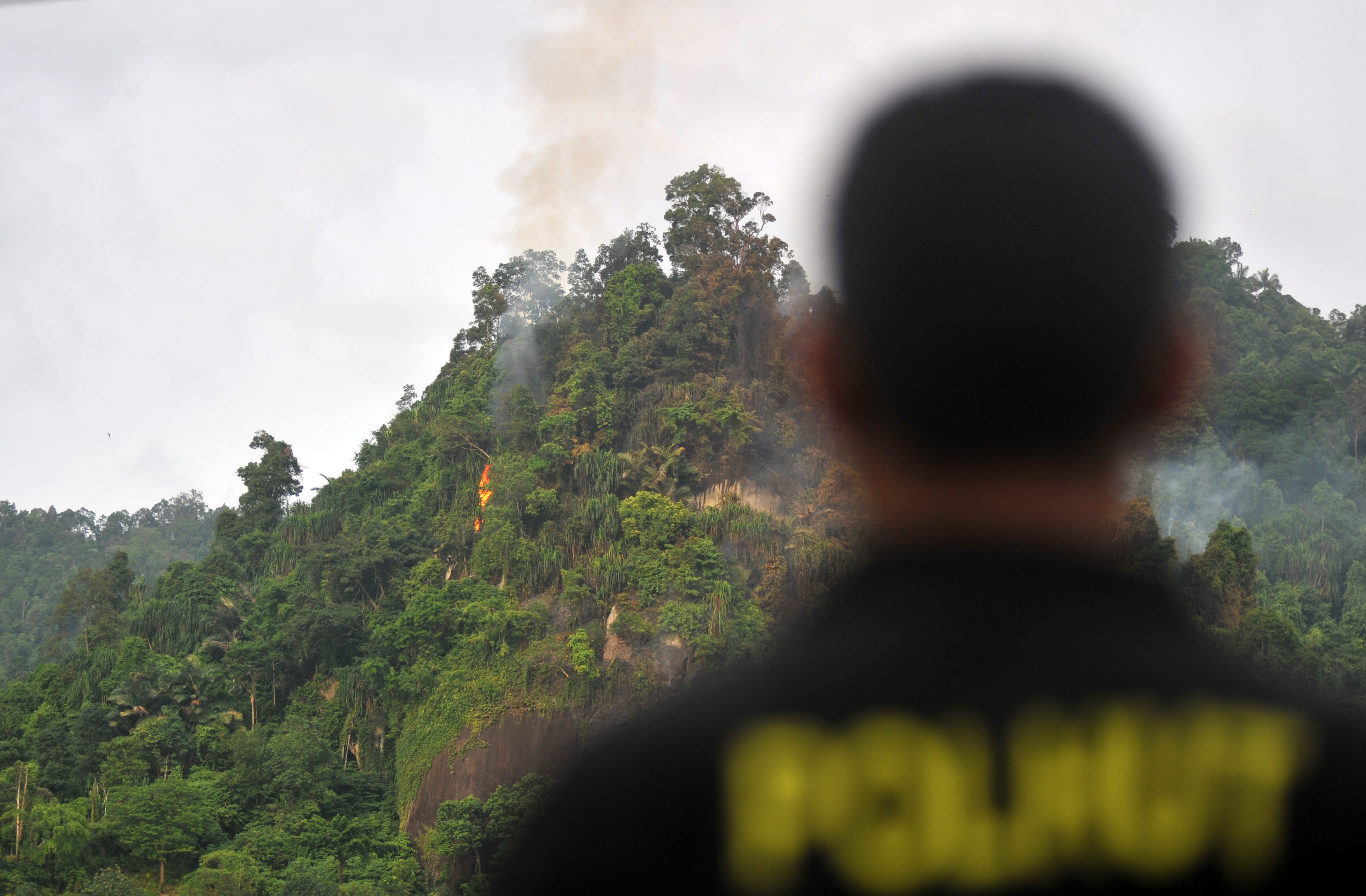 Polisi Hutan sedang mengawasi kebakaran hutan dan lahan