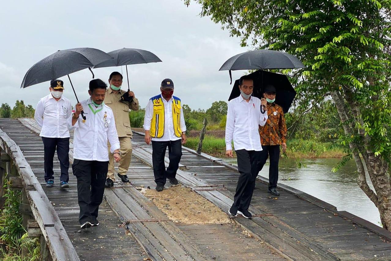 Mentan SYL (kedua dari kiri) mendampingi Presiden Joko Widodo saat meninjau lahan food estate di Kapuas, Kalteng. 