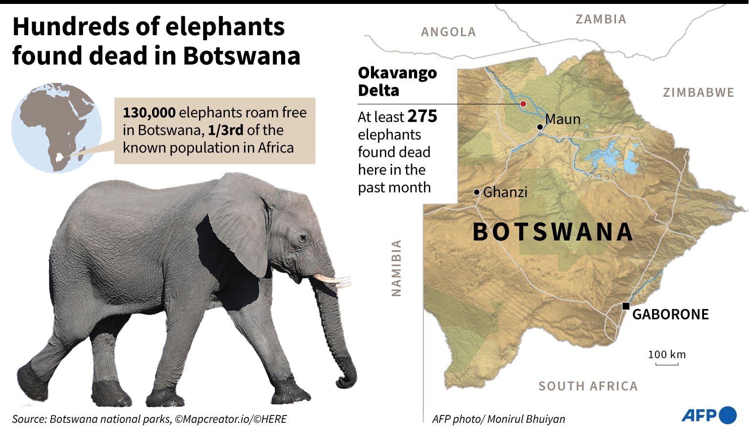 info grafis: Populasi gajah di Botswana dan peta lokasi kematian gajah