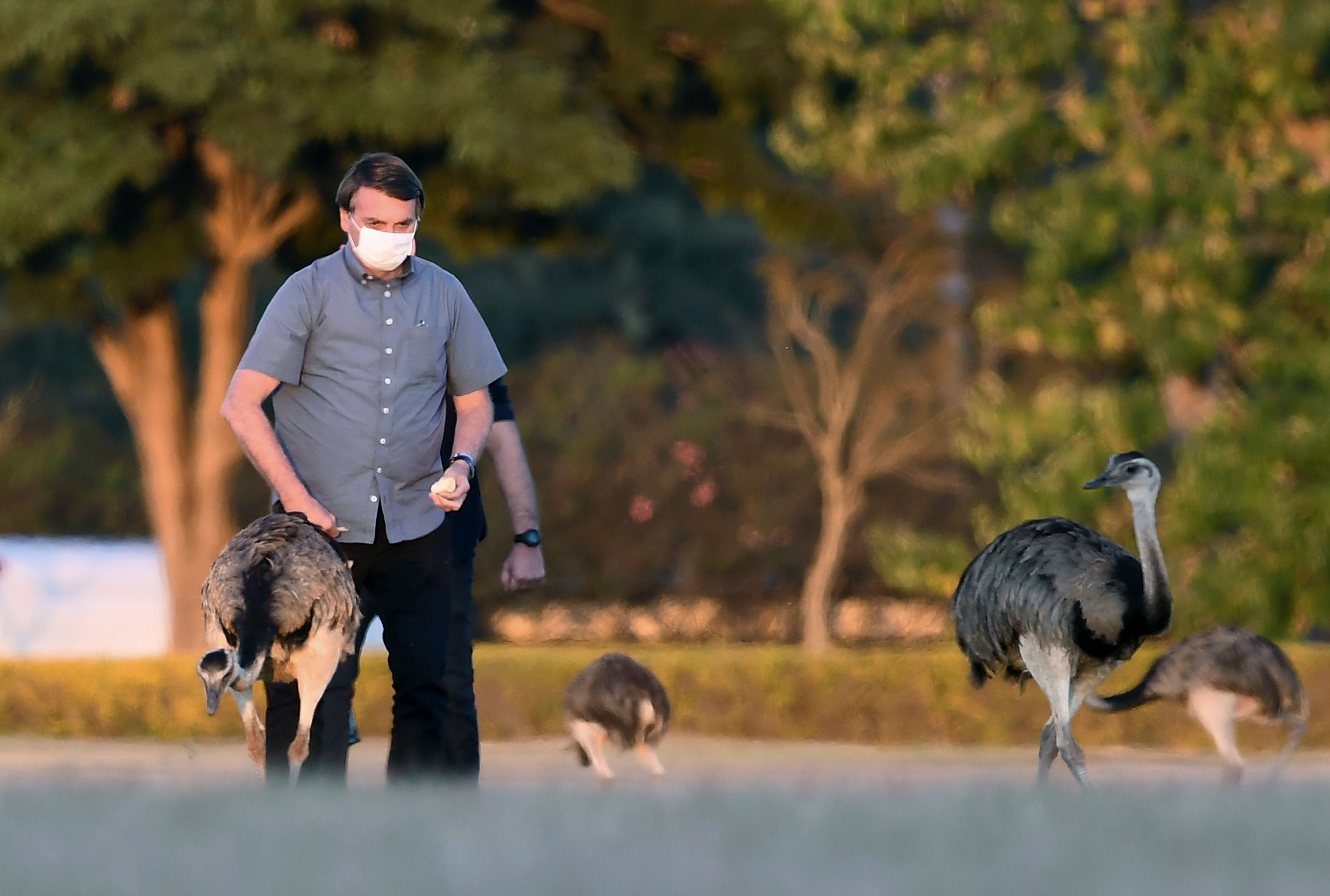 Presiden Brasil Jair Bolsonaro