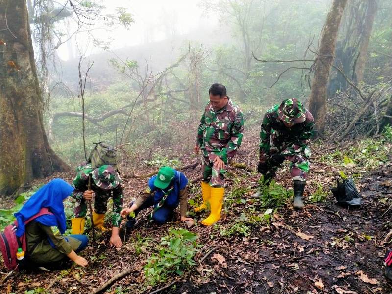 Relawan dan TNI tanam bibit pohon di lereng Gunung Slamet wilayah Brebes yang terbakar, Senin (10/2).