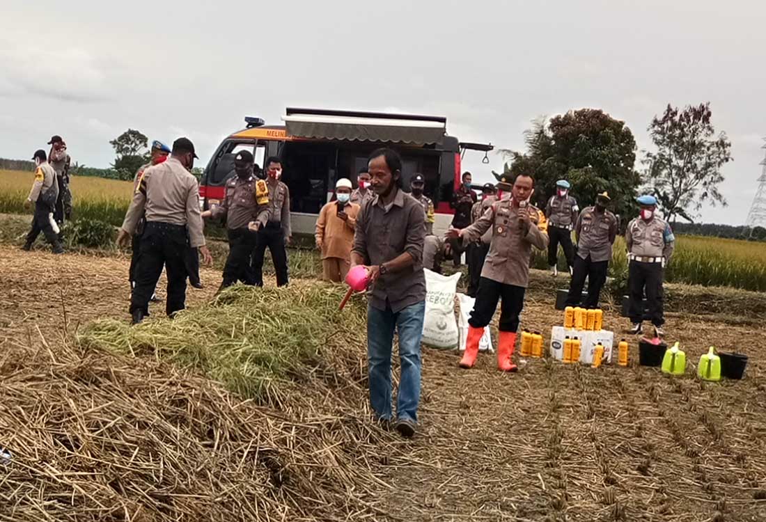  Polda Jambi Rangkul Petani Halau Karhutla denganBudidaya Kompos LImbah Lahan