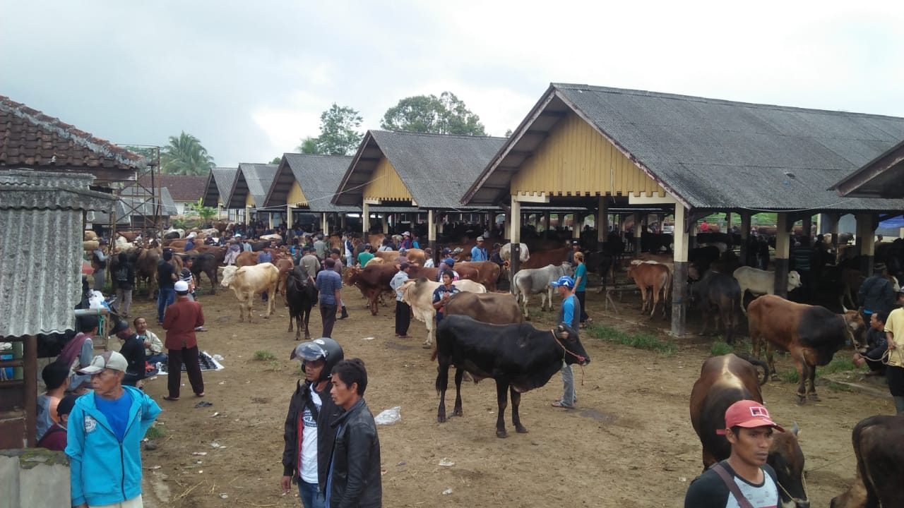 Penjual hewan kurban harus menerapkan protokol kesehatan covid-19