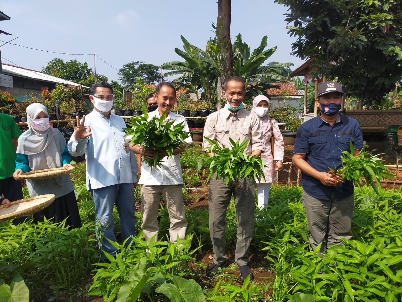 Kepala Badan Ketahanan Pangan (BKP) Agung Hendriadi (ketiga dari kanan) melihat aktivitas KWT Ciharashas di Mulyaharja, Kota Bogor.