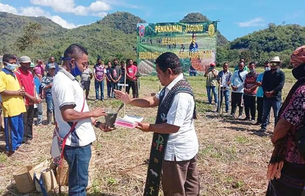 Masyarakat menggelar prosesi adat sebelum kegiatan penanaman jagung di Kabupaten Ende, Nusa Tenggara Timur, Kamis (16/7/2020)