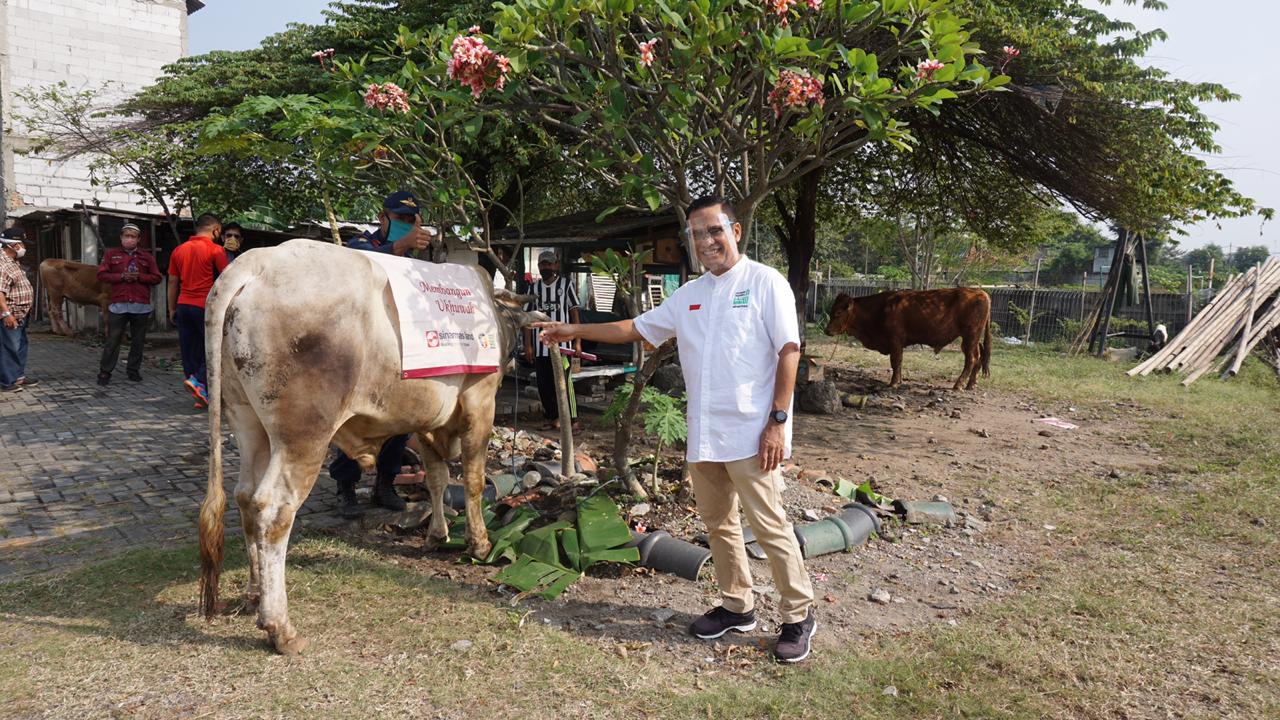 Yayasan Muslim Sinar Mas-ITC Group Sumbang Ratusan Hewan Kurban