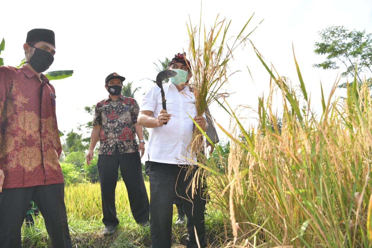 Wakil Menteri Desa, Pembangunan Daerah Tertinggal, dan Transmigrasi (PDTT) Budi Arie Setiadi (kanan).