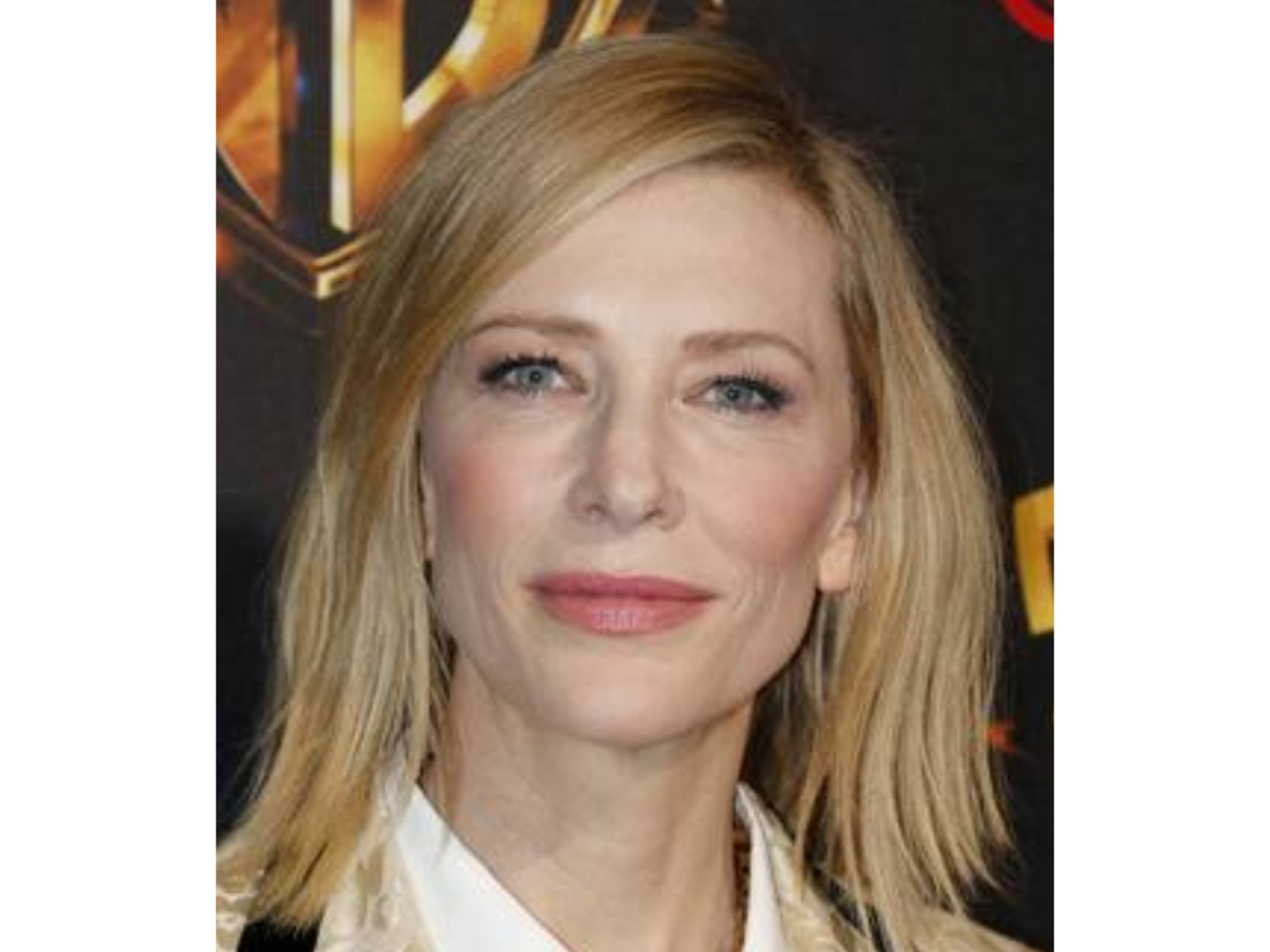 Aktris peraih dua Oscar, Cate Blanchett menjadi Ketua Dewan Juri di Festival Fim Venesia.