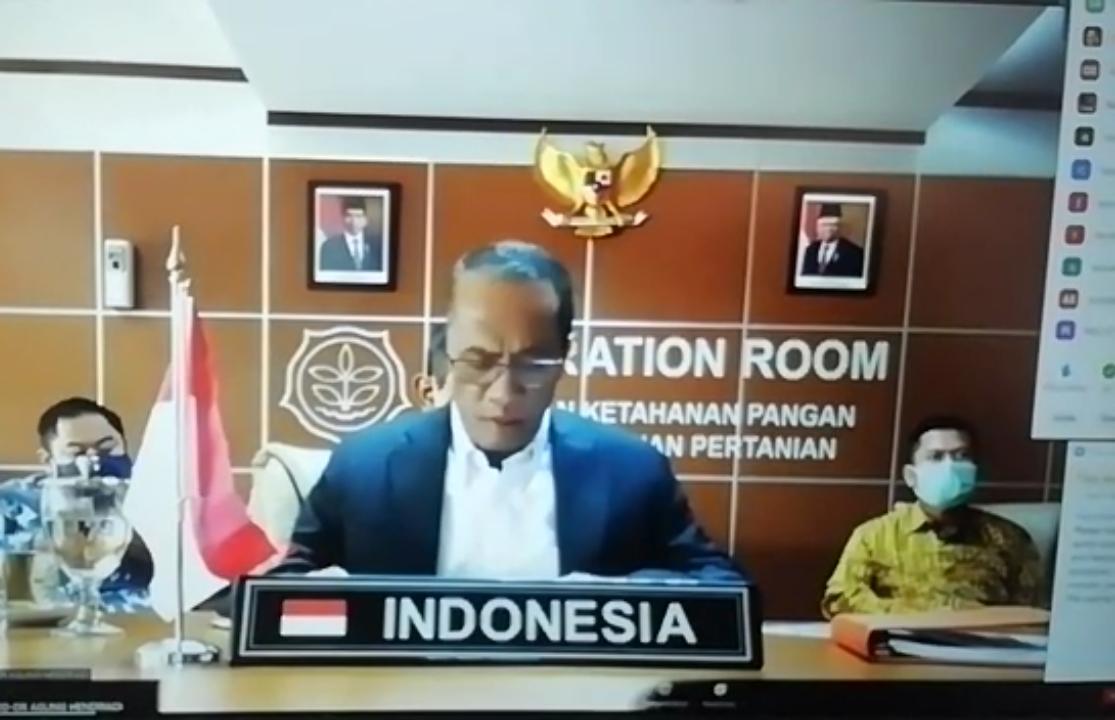 Kepala Badan Ketahanan Pangan (BKP) Kementerian Pertanian, Agung Hendriadi, mengikuti  Sidang FAO Council ke-164 secara virtual. 