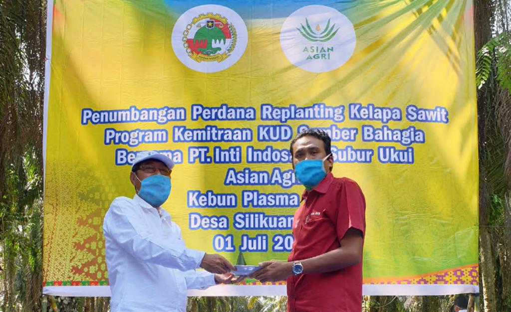 Asian Agri Dukung KUD Sumber Bahagia Siap Remajakan Kebun Sawit  