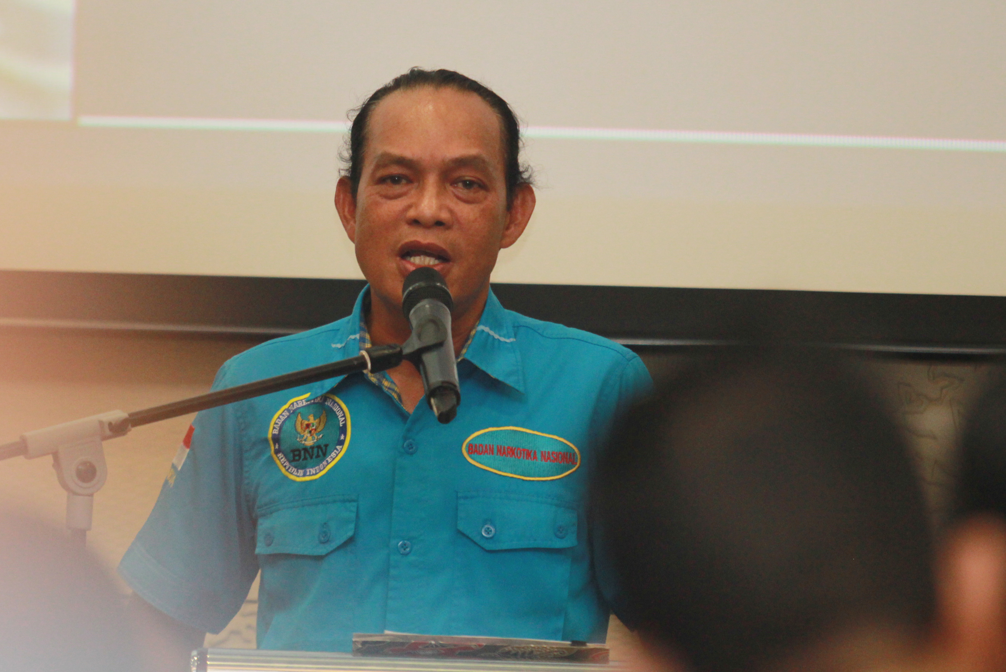 Deputi Bidang Pemberantasan Badan Narkotika Nasional (BNN) Irjen Pol Arman Depari