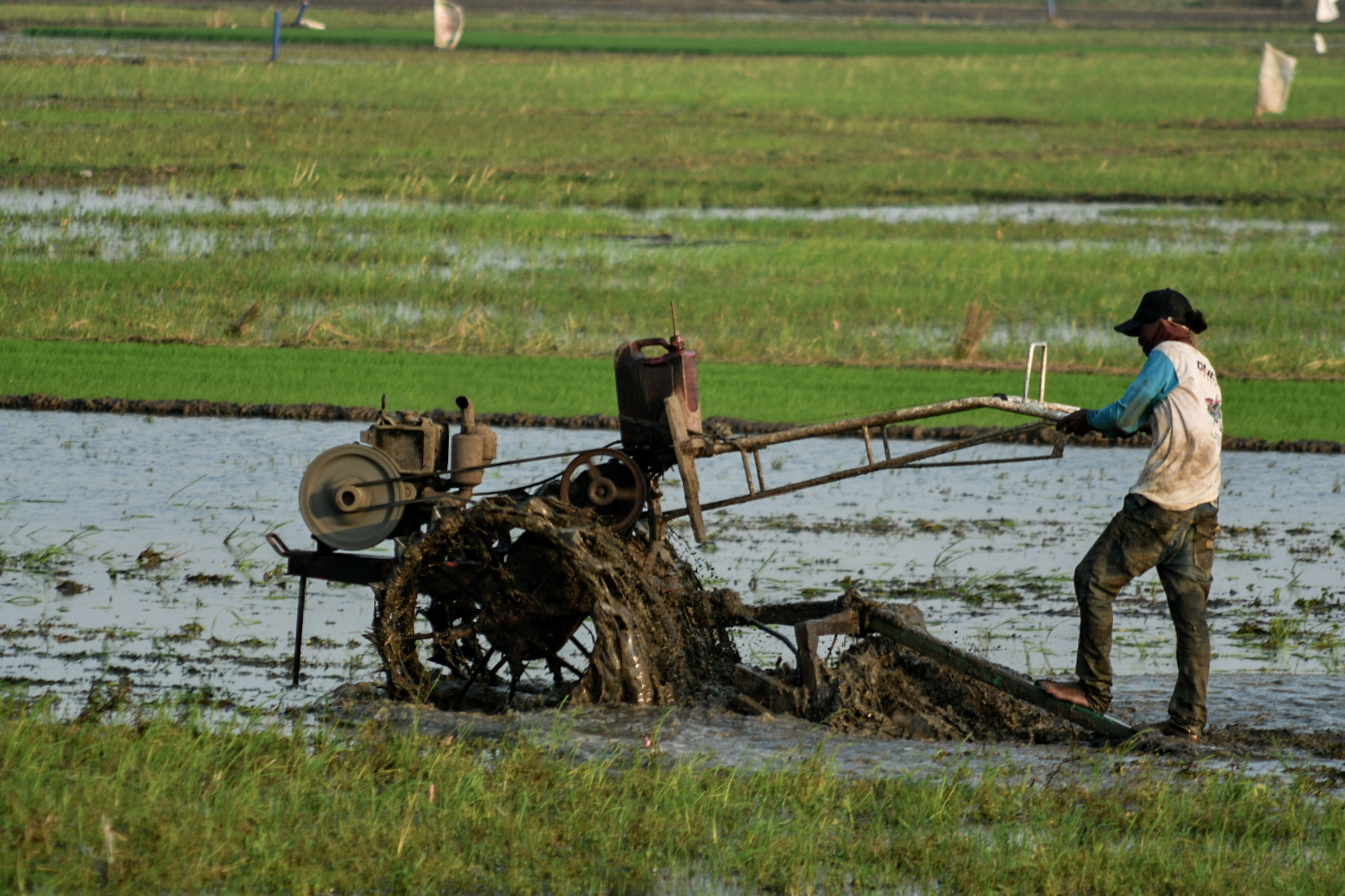 Kementan  melalui Direktorat Jenderal Prasarana dan Sarana Pertanian menyiapkan ribuan unit alat mesin untuk memaksimalkan musim tanam.